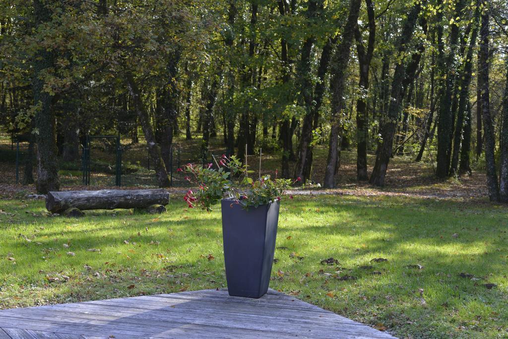 Le Bois Dormant-Hotel Restaurant & Spa Logis Hotel Champagnole Exterior photo